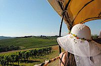 wagon rides in Tuscany